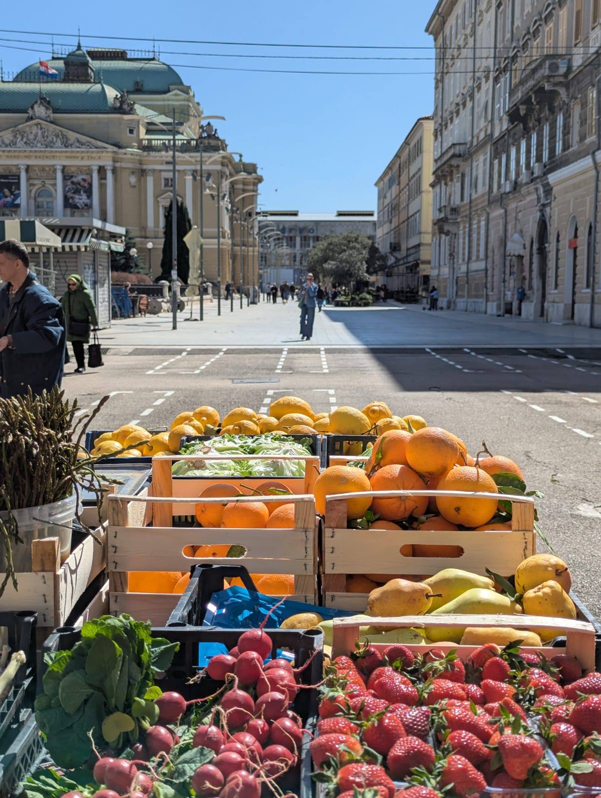 Rijeka Apprentissage de la langue polonaise
